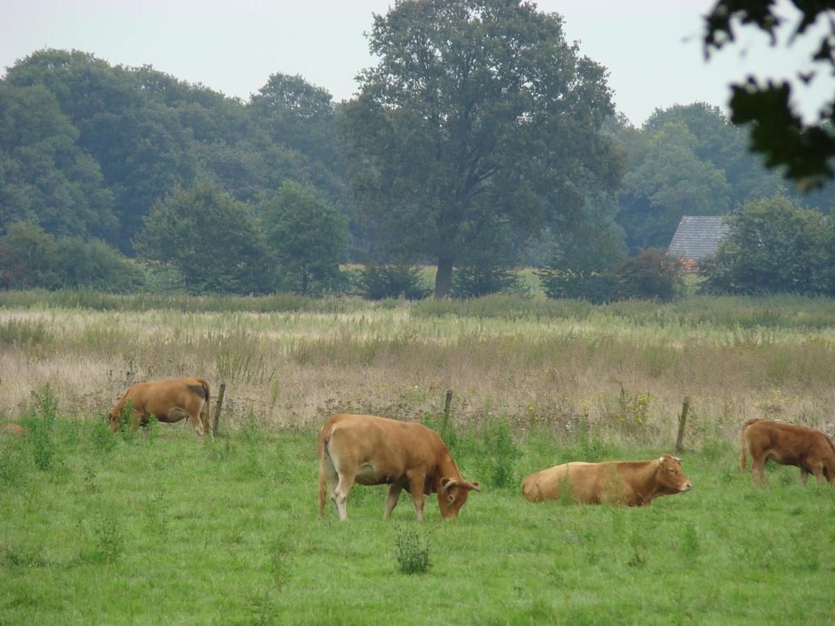 B&B Onder Ons Riet Cromvoirt Экстерьер фото